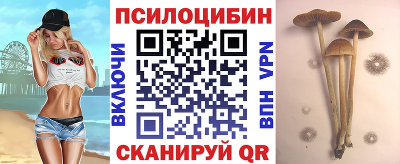 Псилоцибиновые грибы прущие грибы как найти наркотики Алатырь